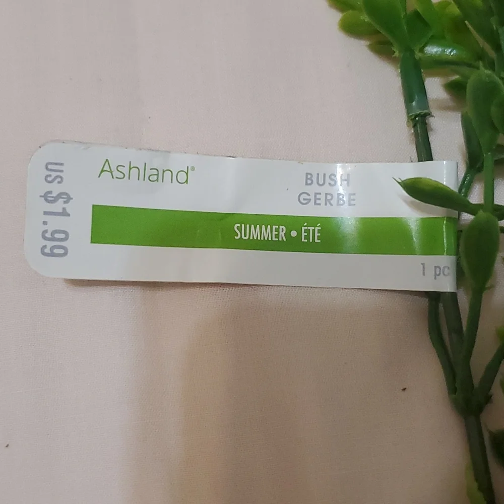 Ashland 19 plastic